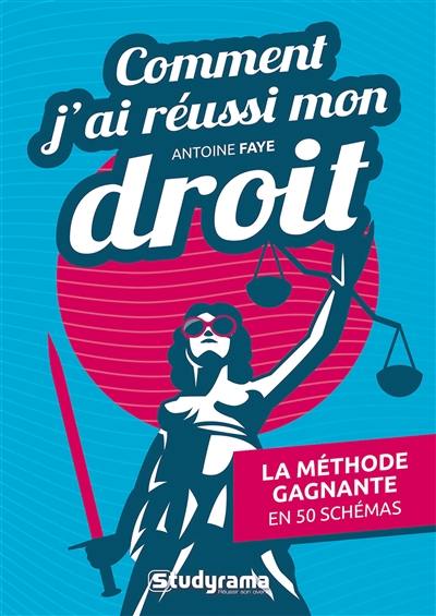 Comment j'ai réussi mon droit : la méthode gagnante en 50 schémas