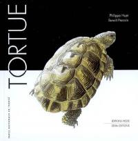 Tortue