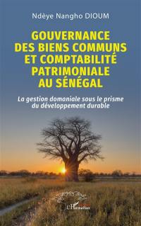 Gouvernance des biens communs et comptabilité patrimoniale au Sénégal : la gestion domaniale sous le prisme du développement durable