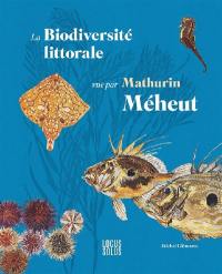 La biodiversité littorale vue par Mathurin Méheut