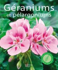 Géraniums et pélargoniums