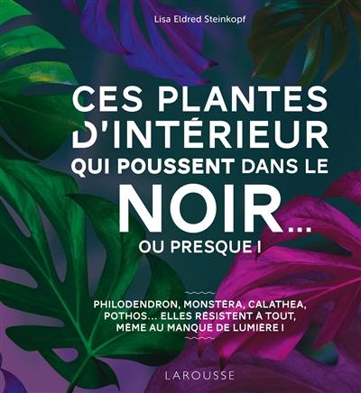 Ces plantes d'intérieur qui poussent dans le noir... ou presque ! : bien choisir puis entretenir des plantes d'intérieur se contentant de peu de lumière