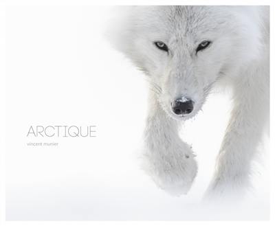 Arctique