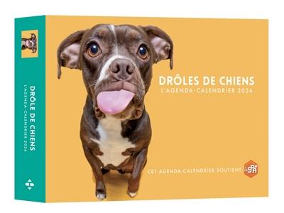 Drôles de chiens : l'agenda-calendrier 2024