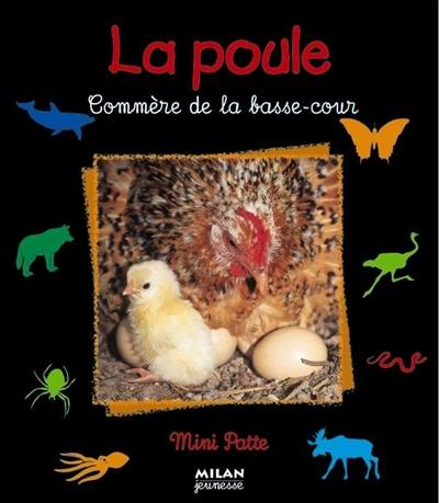 La poule : commère de la basse-cour