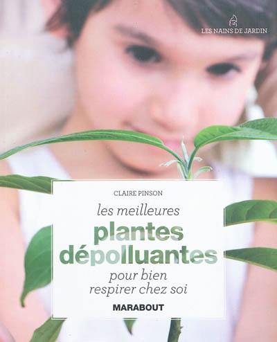 Les meilleures plantes dépolluantes pour bien respirer chez soi