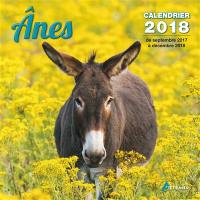 Anes : calendrier 2018 : de septembre 2017 à décembre 2018