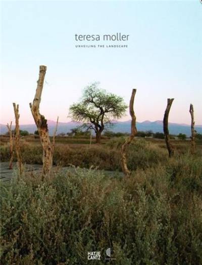 Teresa Moller and Associates Unveiling the Landscape