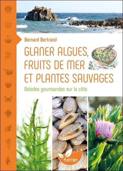 Glaner algues, fruits de mer et plantes sauvages : balades gourmandes sur la côte