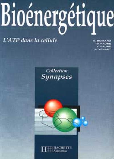 Bioénergétique : l'ATP dans la cellule