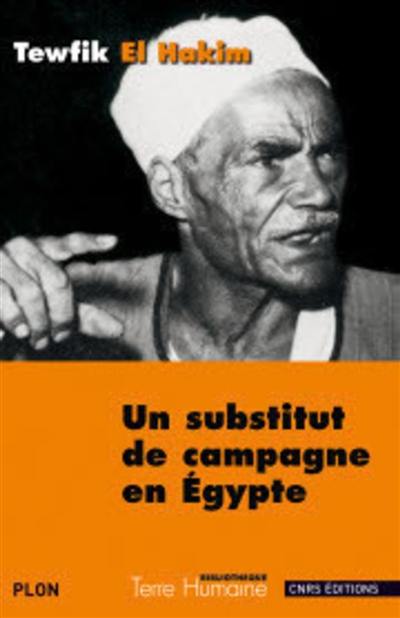 Un substitut de campagne en Egypte : journal d'un substitut de procureur égyptien