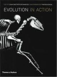 Evolution in Action 2nd ed. : Natural History through Spectacular Skeletons