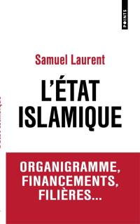 L'Etat islamique : organigramme, financements, filières...