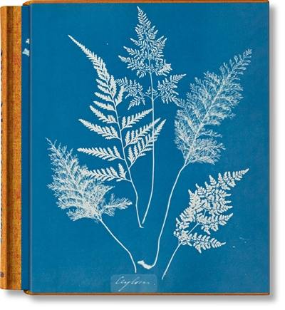 Anna Atkins : cyanotypes