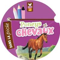 Poneys et chevaux