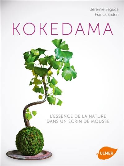 Kokedama : l'essence de la nature dans un écrin de mousse