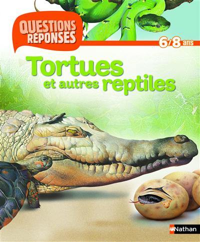 Tortues et autres reptiles