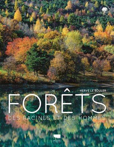 Forêts : des racines et des hommes