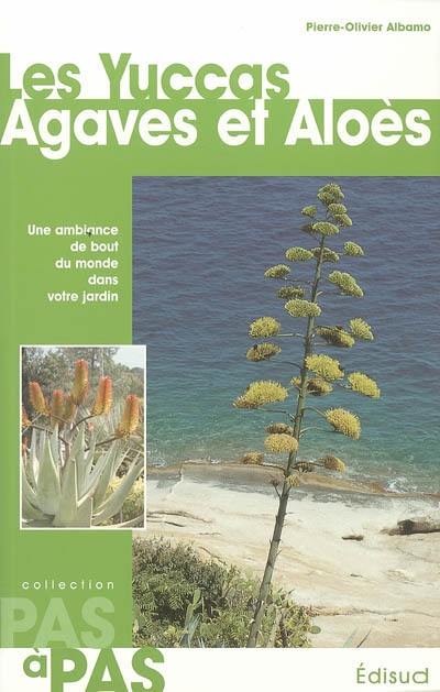 Les yuccas, agaves et aloès : une ambiance du bout du monde dans votre jardin