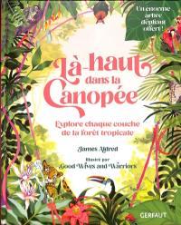 Là-haut dans la canopée : explore chaque couche de la forêt tropicale