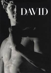 Michelangelo´s David