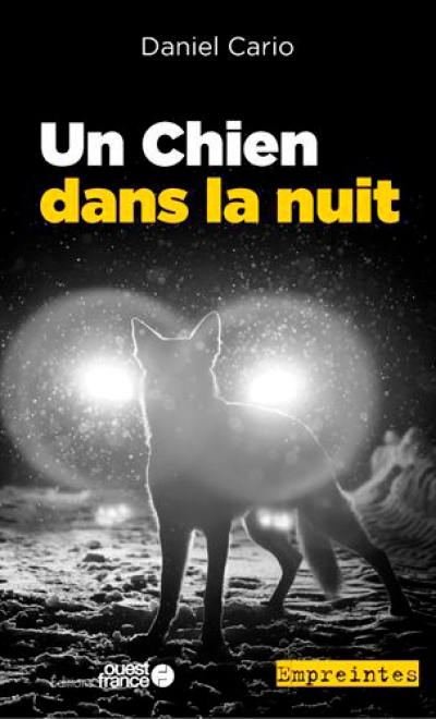 Un chien dans la nuit