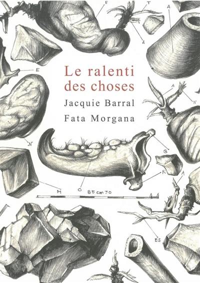 Le ralenti des choses