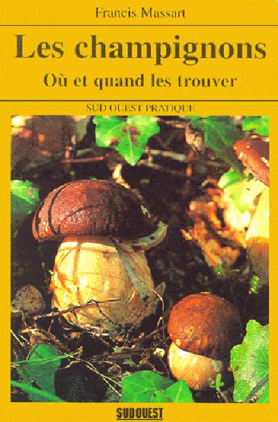 Les champignons : où et quand les trouver