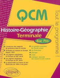 Histoire géographie terminale bac pro